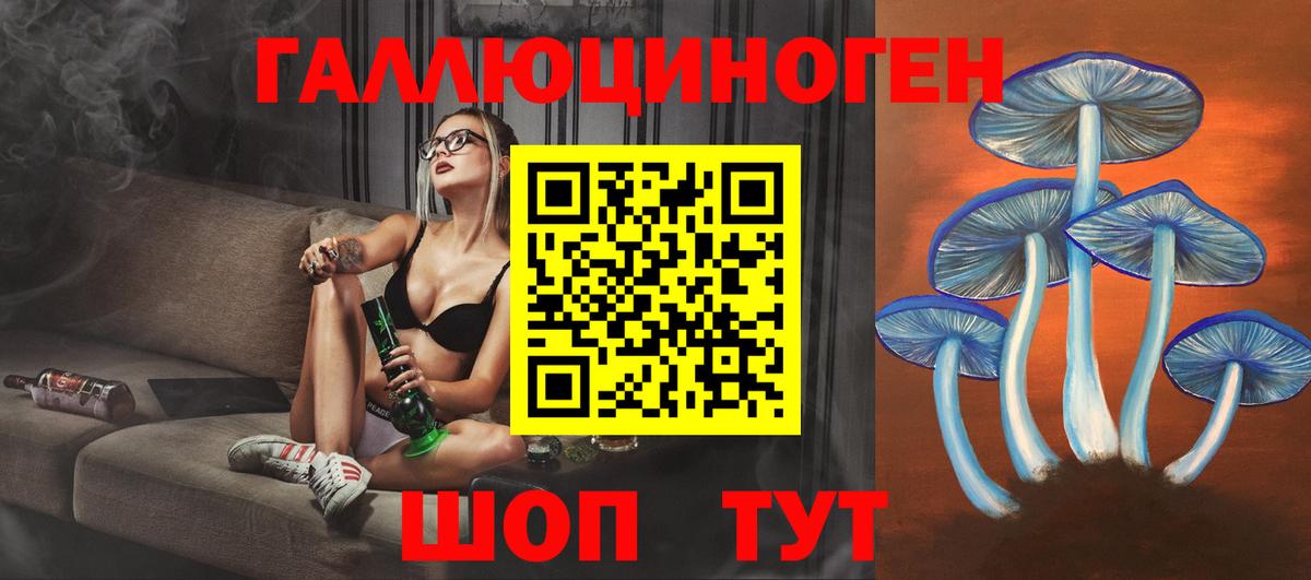 Коммунар  Псилоцибиновые грибы мицелий  Вход с VPN 